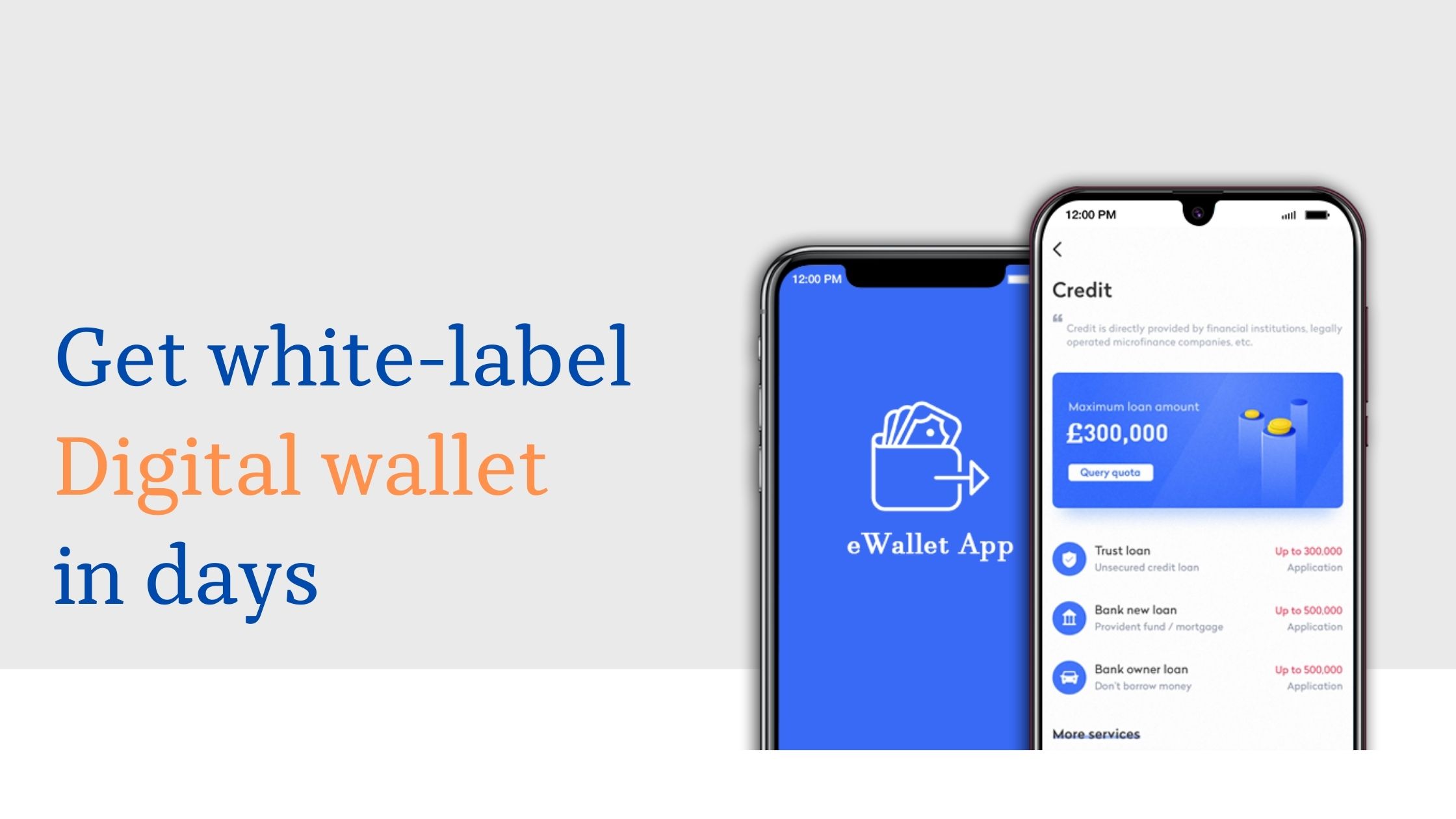 AnankAI digital wallet solution interface for FinTech and neo banks